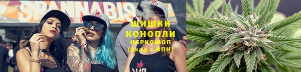 мет Инта