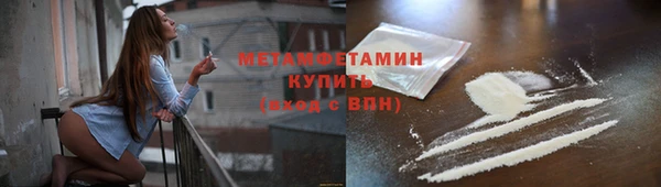 шишки Сосновка