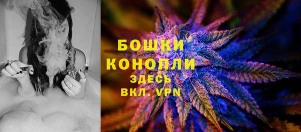 шишки Сосновка