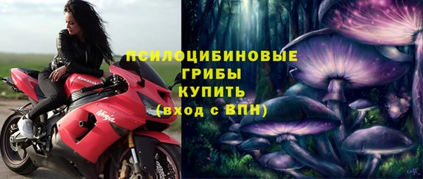 мет Инта