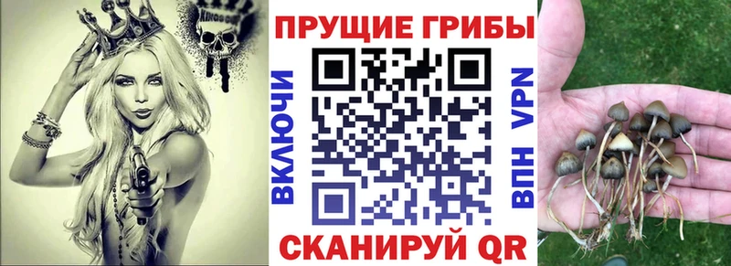 Псилоцибиновые грибы MAGIC MUSHROOMS  закладки  Спас-Деменск 